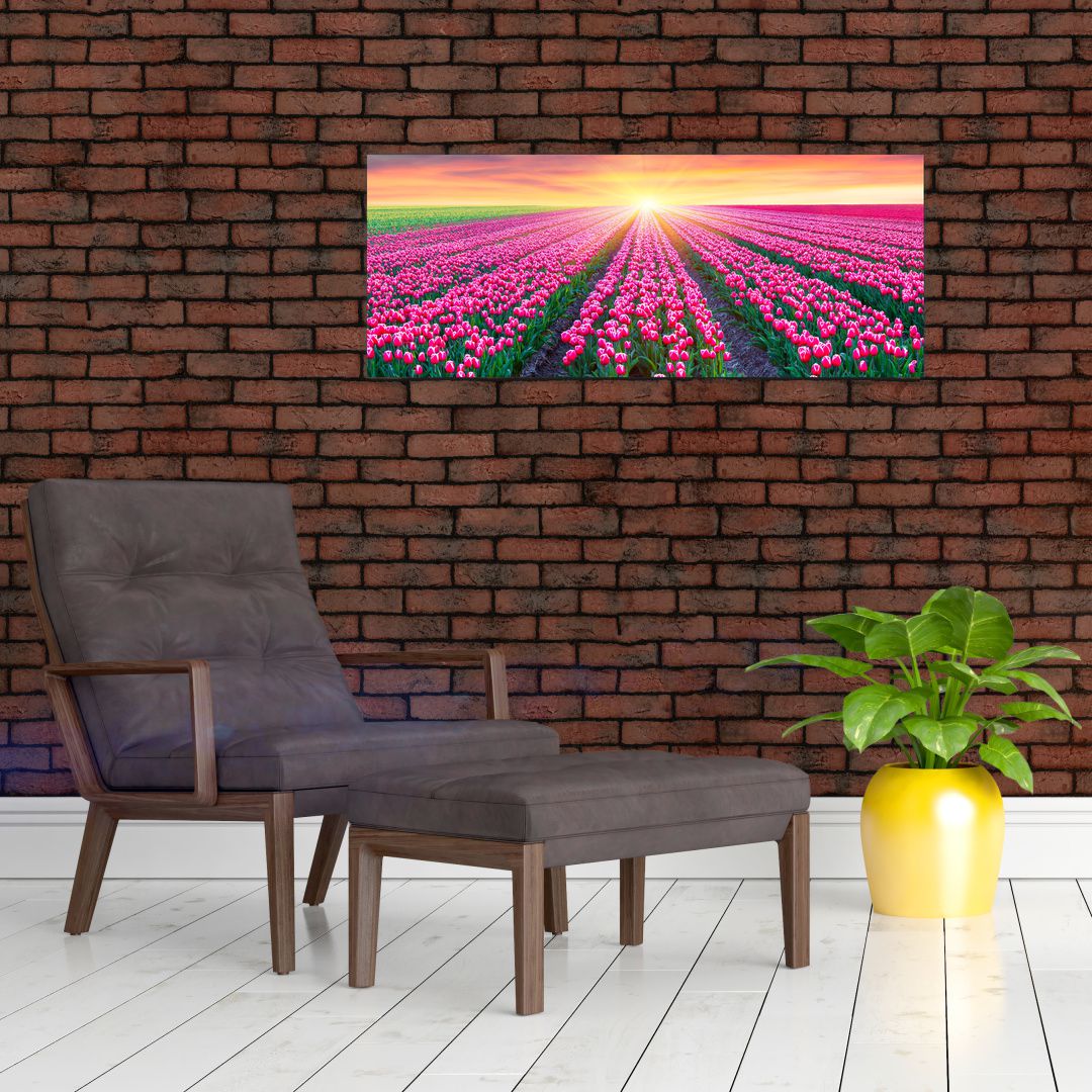 Obraz pole tulipánů se sluncem (V020554V10040)