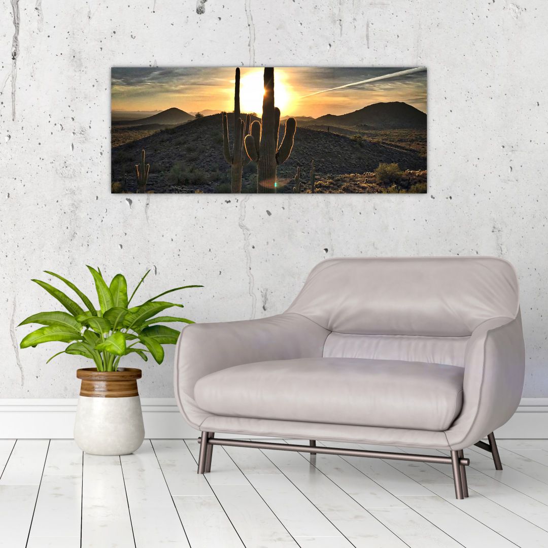 Obraz - kaktusy ve slunci (V020560V10040)