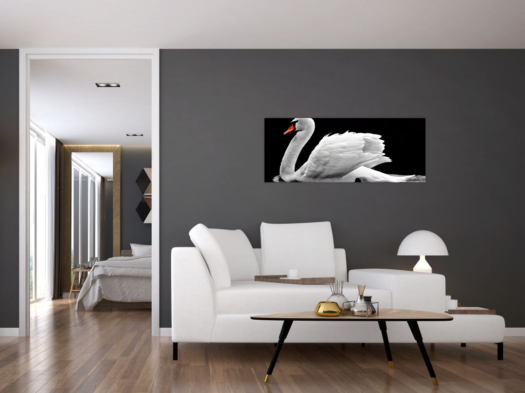 Obraz černobílé labutě (V020586V10040)