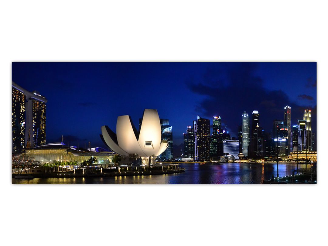 Obraz nočního Singapouru (V020610V10040)