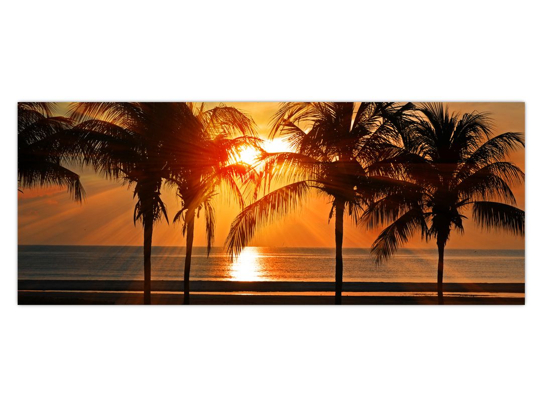 Obraz palmy v západu slunce (V020622V10040)
