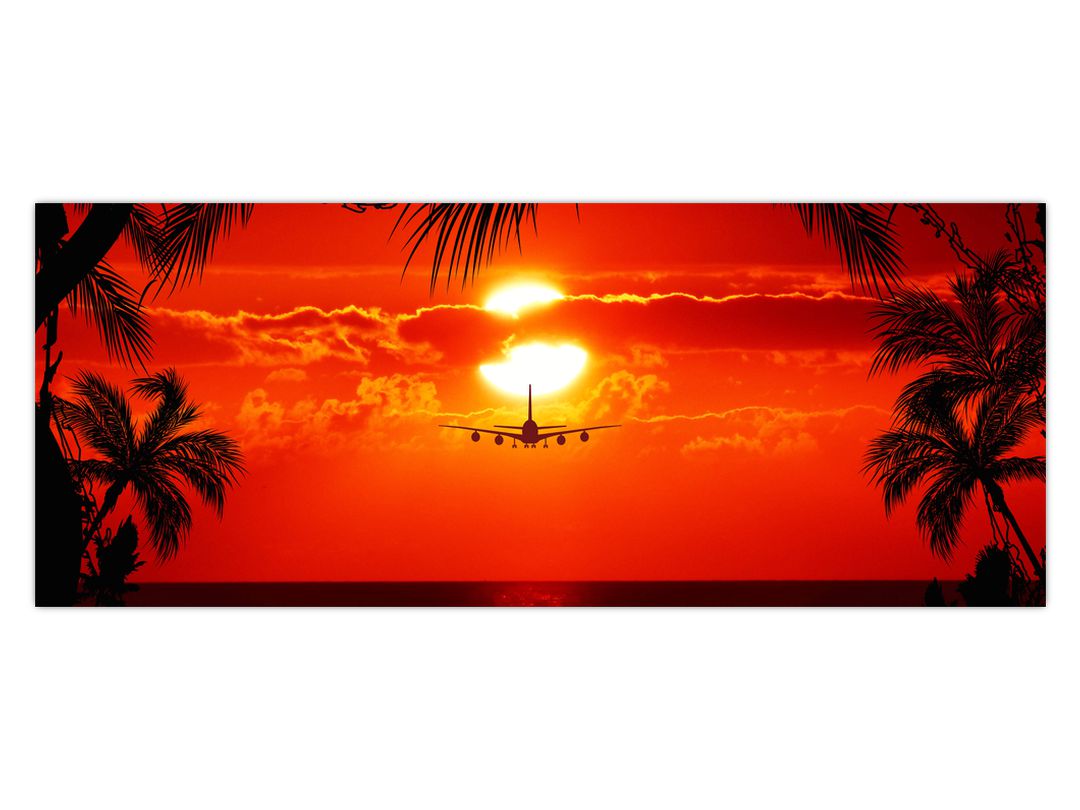 Obraz - západ slunce s letadlem (V020623V10040)