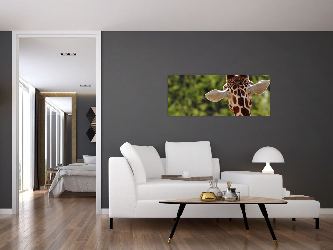 Obraz žirafy zezadu (V020638V10040)