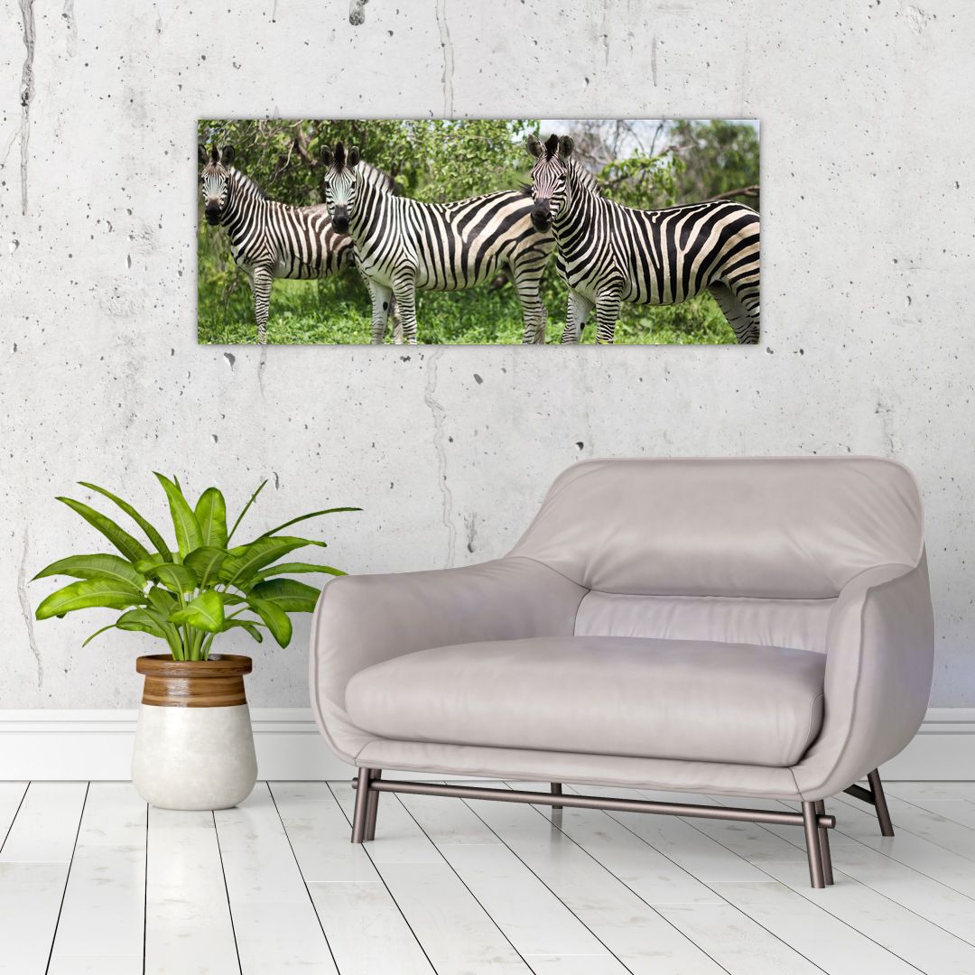 Obraz s zebrami (V020921V10040)