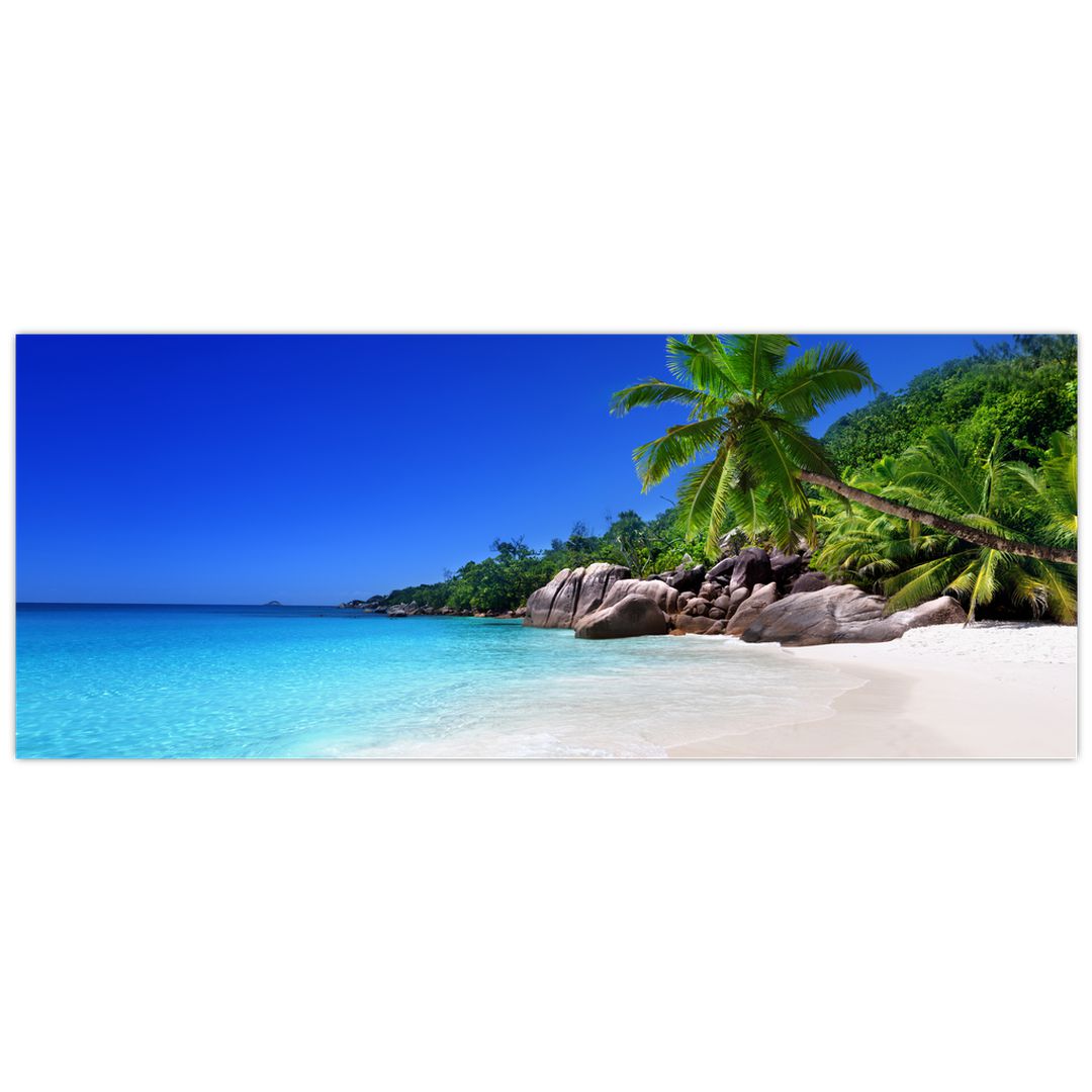 Obraz pláže na Praslin ostrově (V020936V10040)
