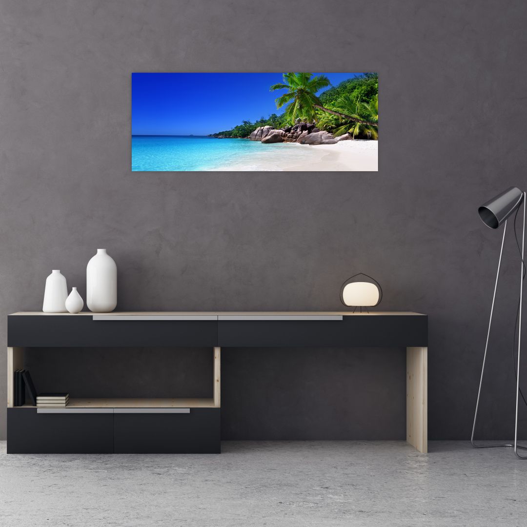Obraz pláže na Praslin ostrově (V020936V10040)