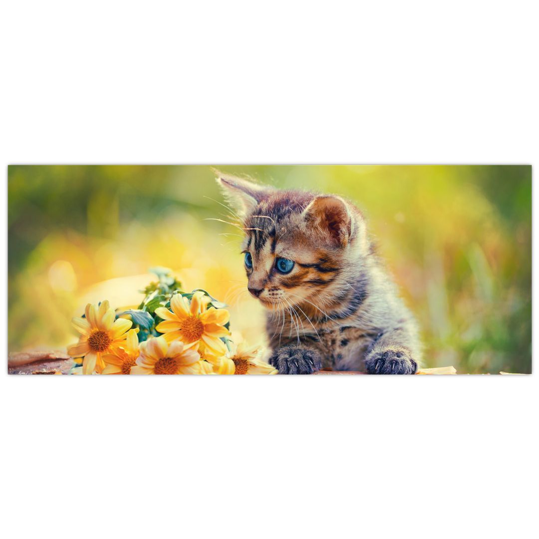 Obraz koťátka dívající se na květinu (V020943V10040)