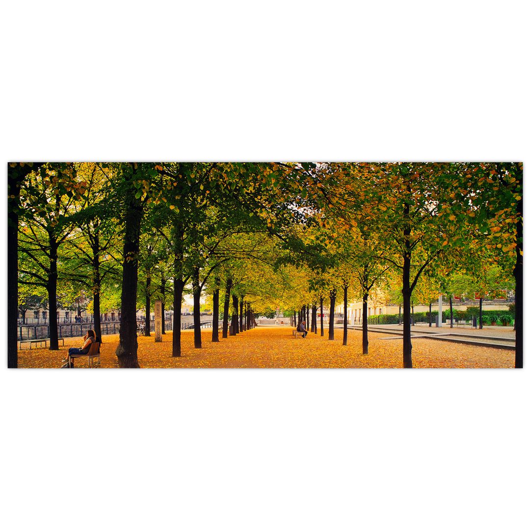 Obraz aleje podzimních stromů (V020953V10040)