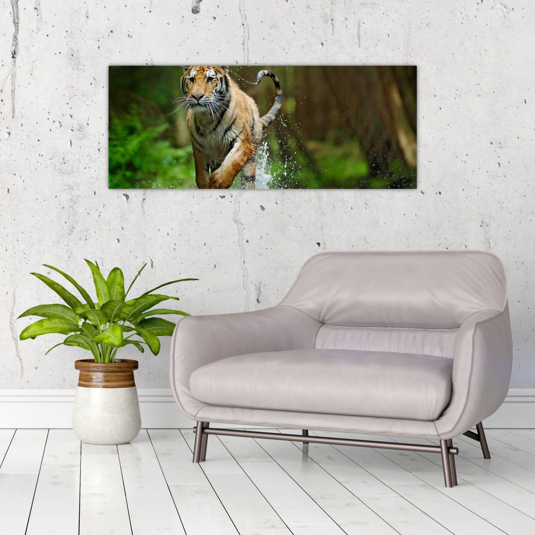 Obraz běžícího tygra (V020979V10040)