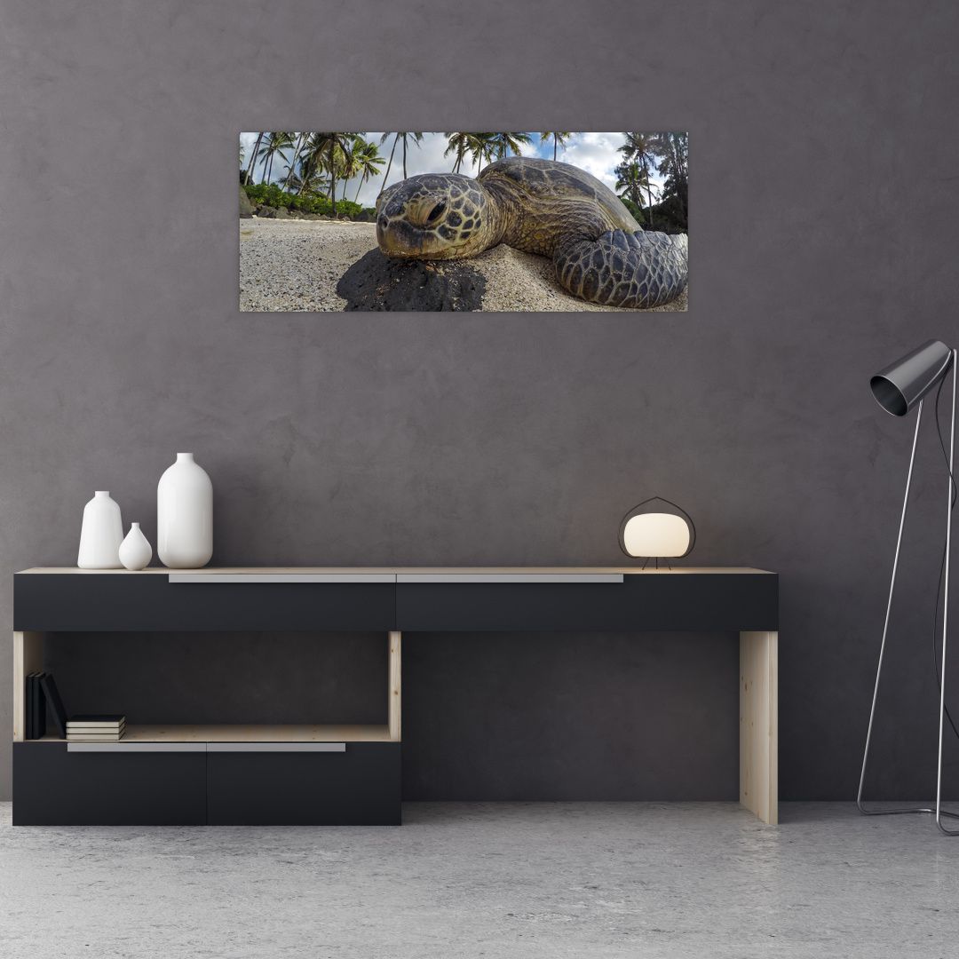 Obraz želvy (V020992V10040)