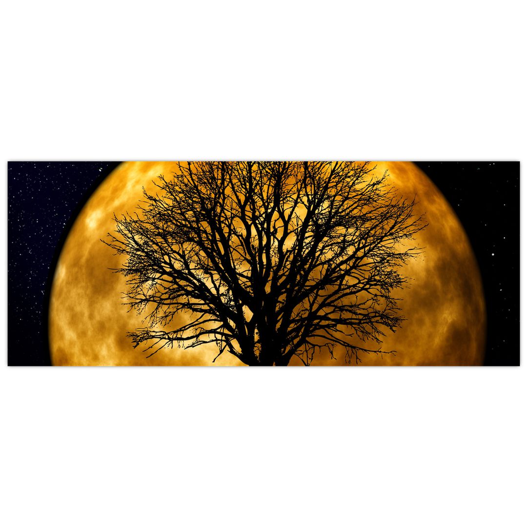 Obraz měsíce a siluet (V020995V10040)