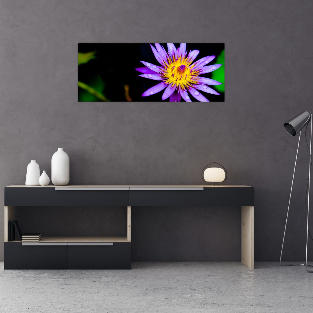 Obraz květiny (V021017V10040)