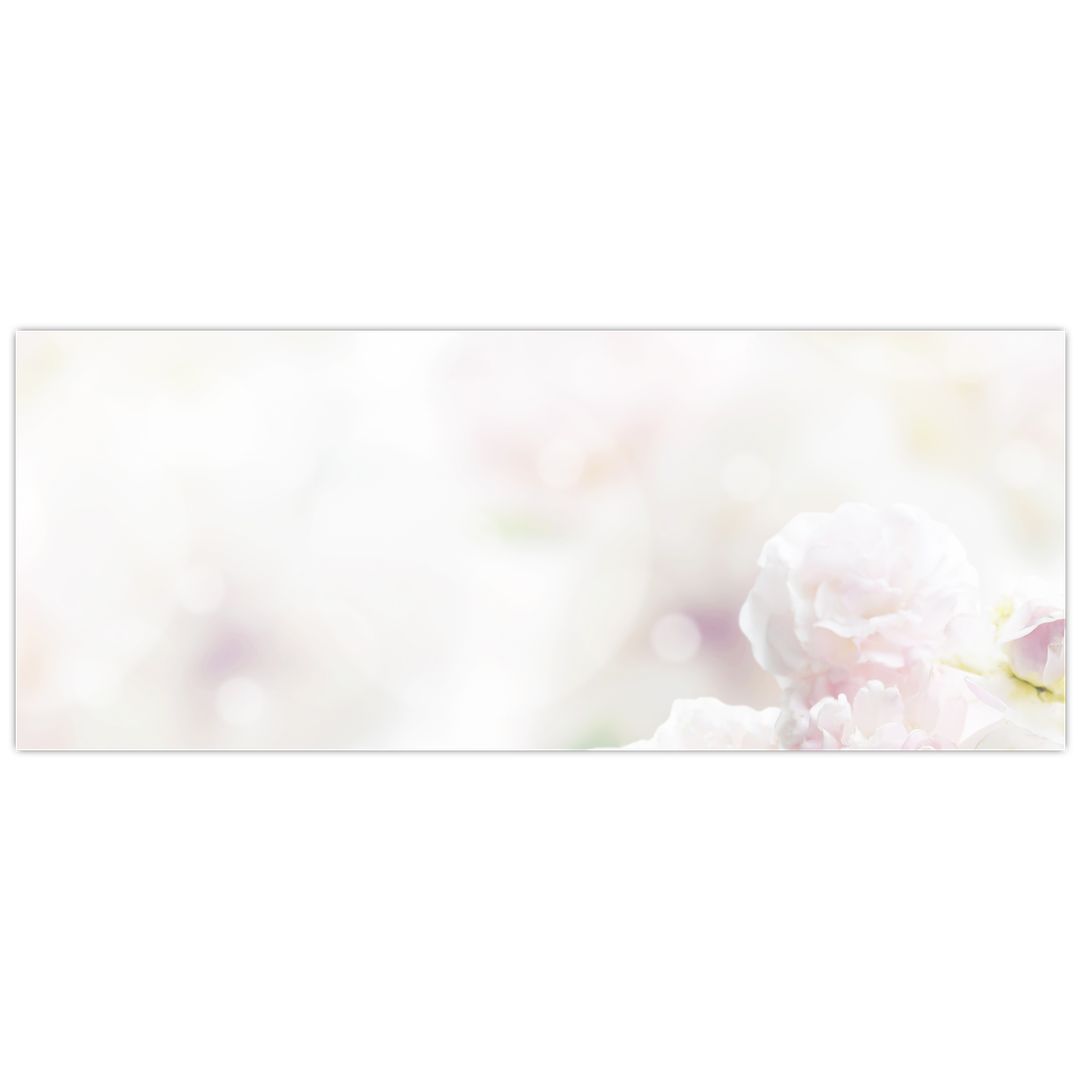 Obraz něžných květů (V022280V10040)