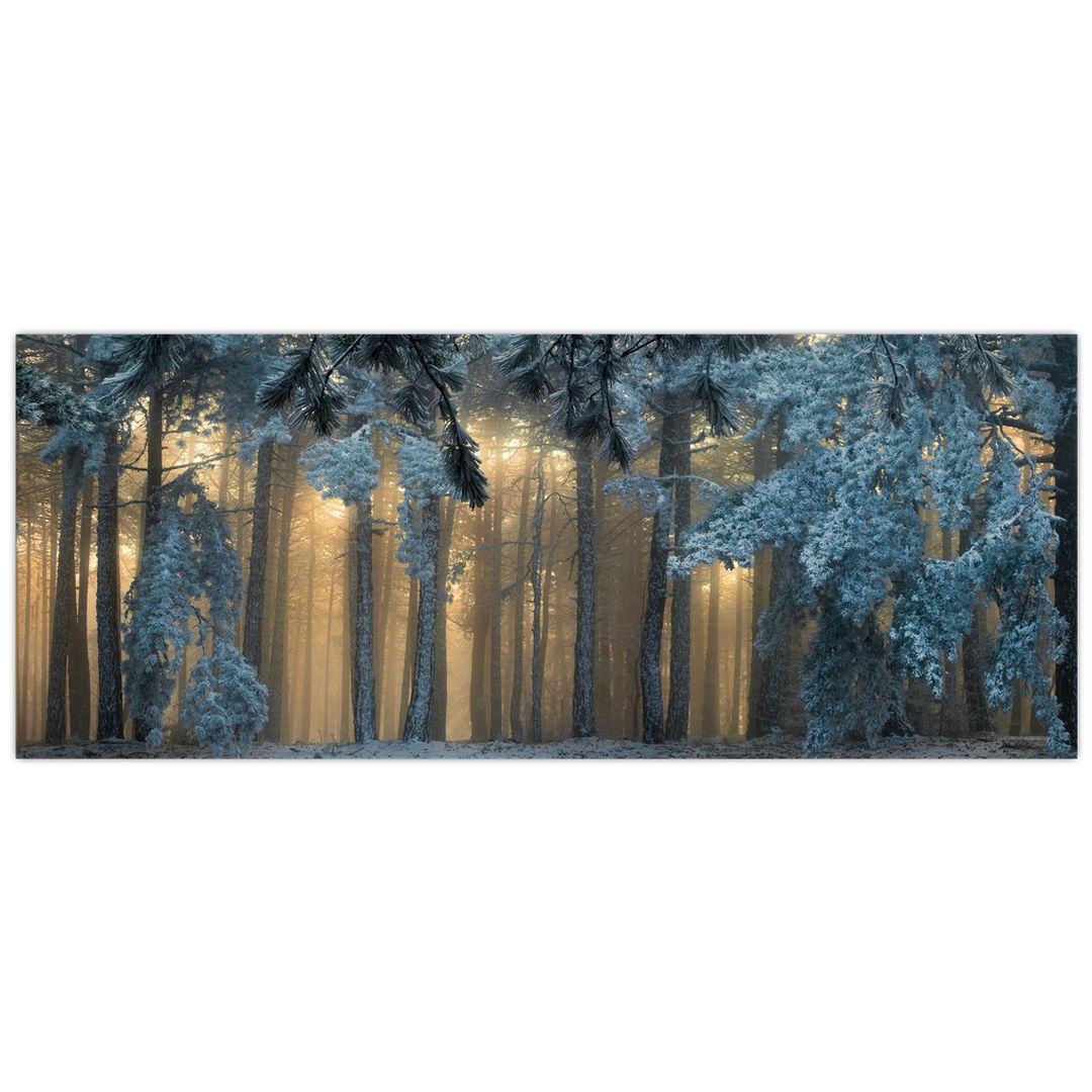 Obraz zasněženého lesa (V022318V10040)