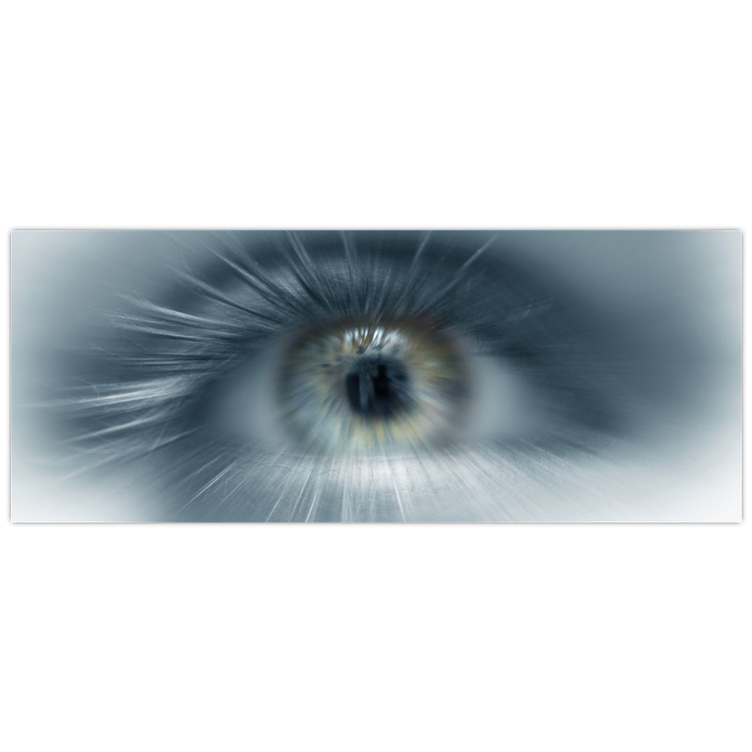 Obraz  - Pohled oka (V022319V10040)