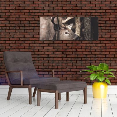 product-thumbnail