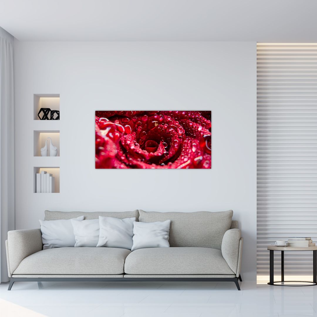 Skleněný obraz květu červené růže (V020009V10050GD)