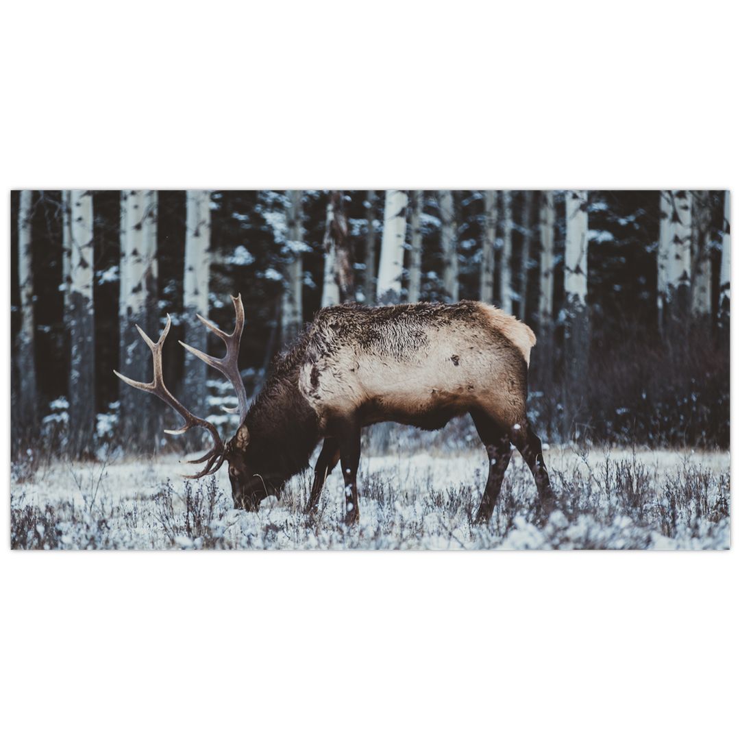 Skleněný obraz - jelen v zimě (V020179V10050GD)