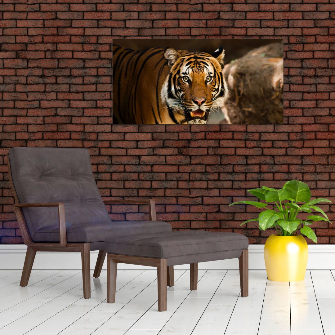 Skleněný obraz tygra (V020183V10050GD)