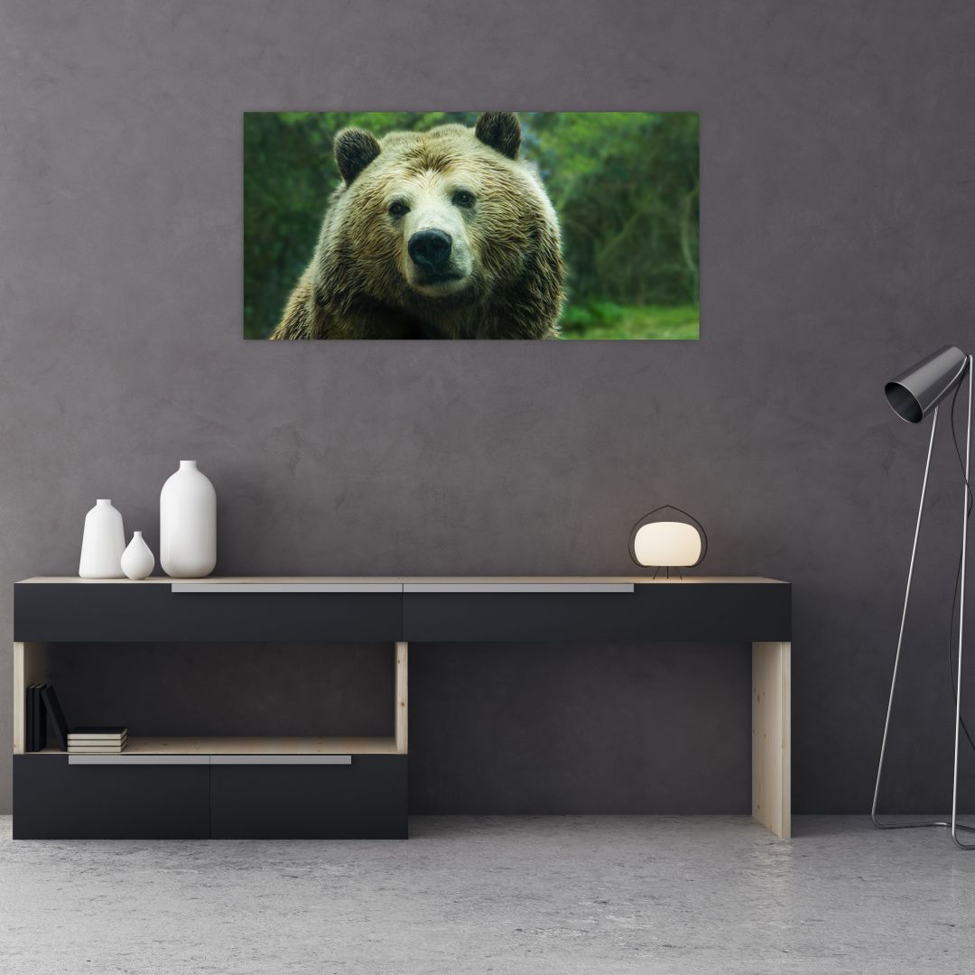Skleněný obraz medvěda (V020185V10050GD)