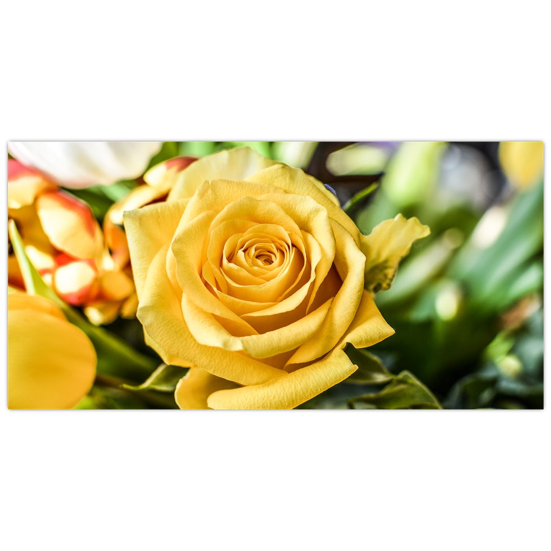 Skleněný obraz růže (V020280V10050GD)