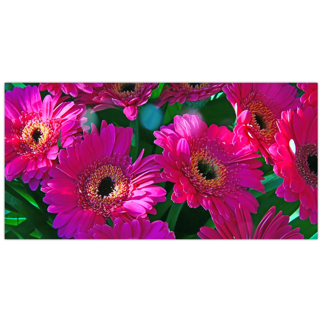 Skleněný obraz - květiny (V020304V10050GD)