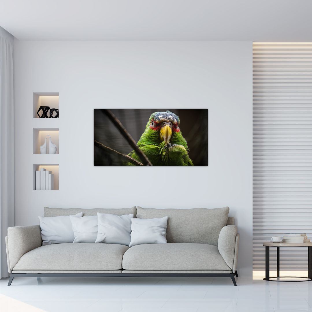 Skleněný obraz papouška (V020325V10050GD)
