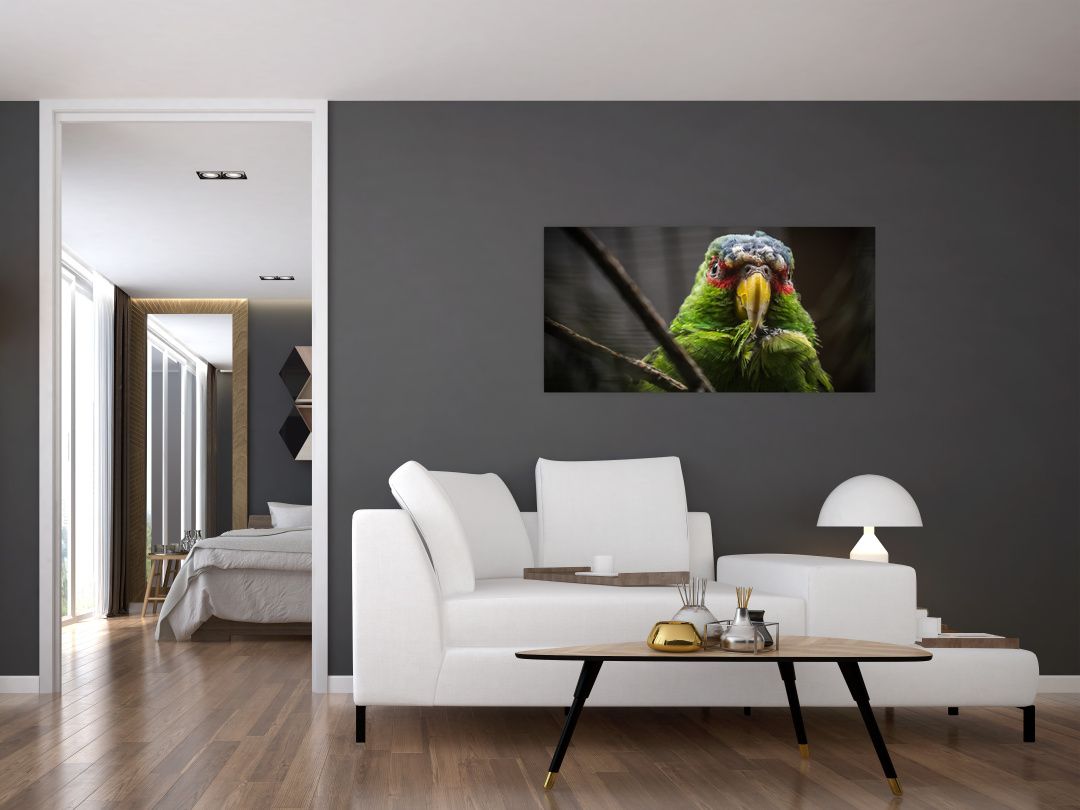 Skleněný obraz papouška (V020325V10050GD)