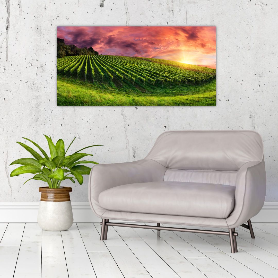 Skleněný obraz vinohradu s barevným nebem (V020336V10050GD)