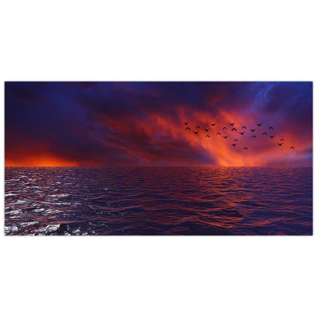 Skleněný obraz moře s ptáky (V020351V10050GD)
