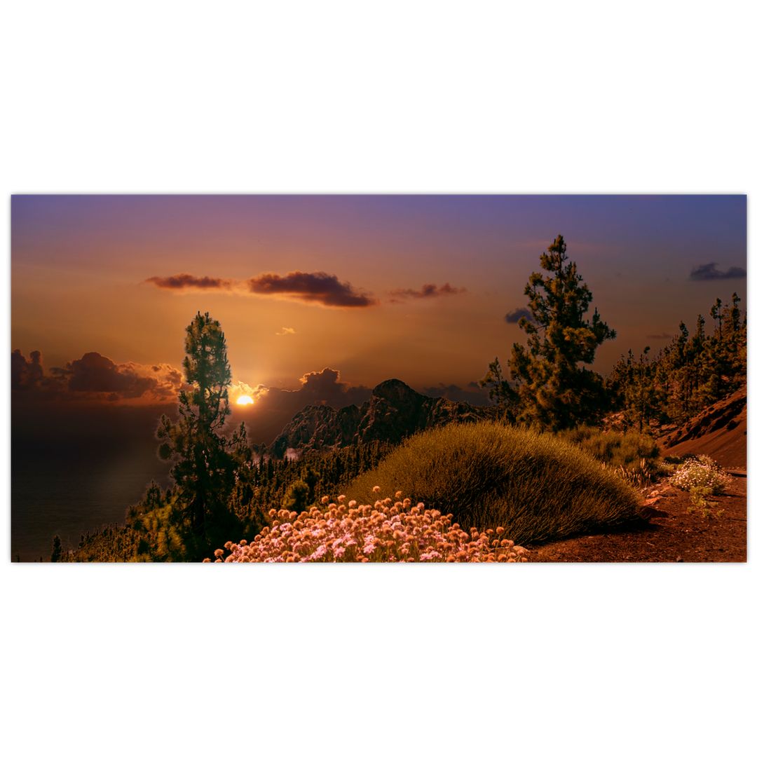 Skleněný obraz přírody se západem slunce (V020383V10050GD)