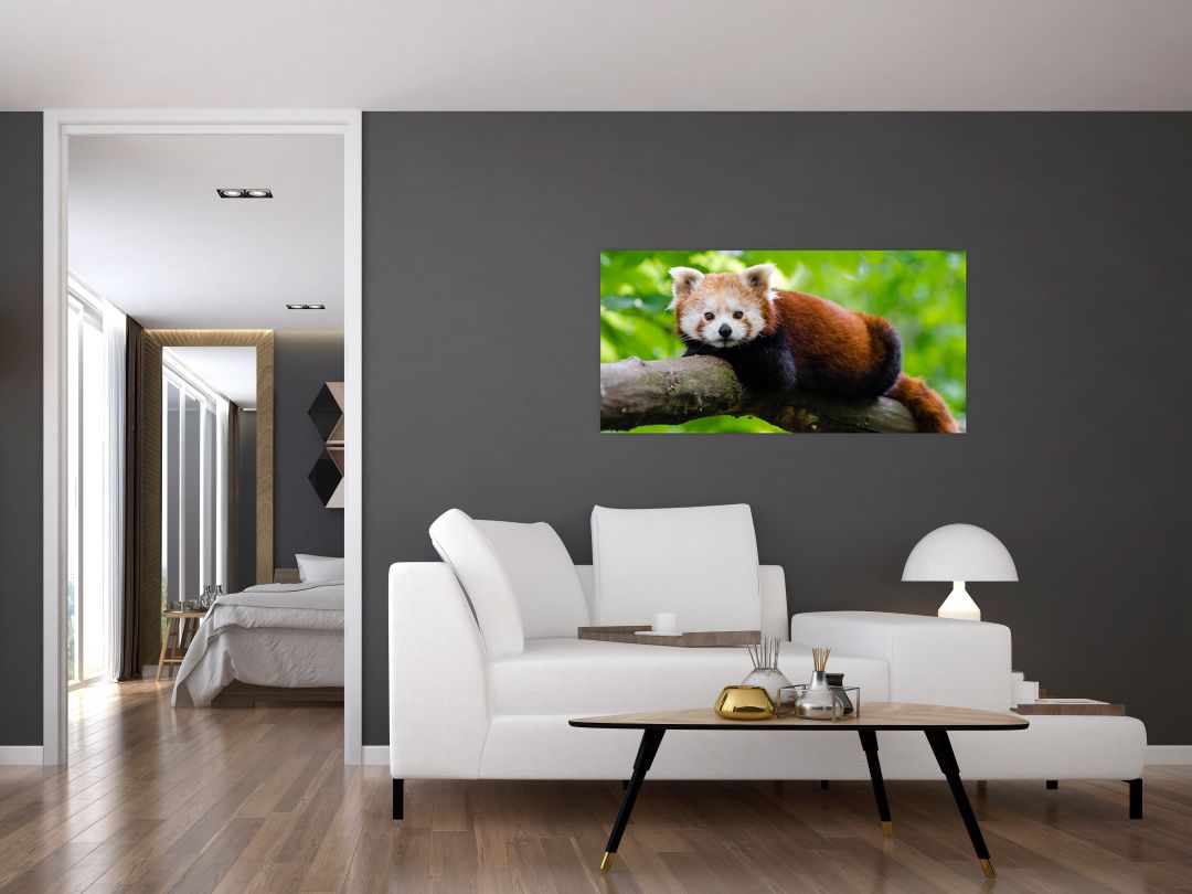 Skleněný obraz pandy červené (V020455V10050GD)