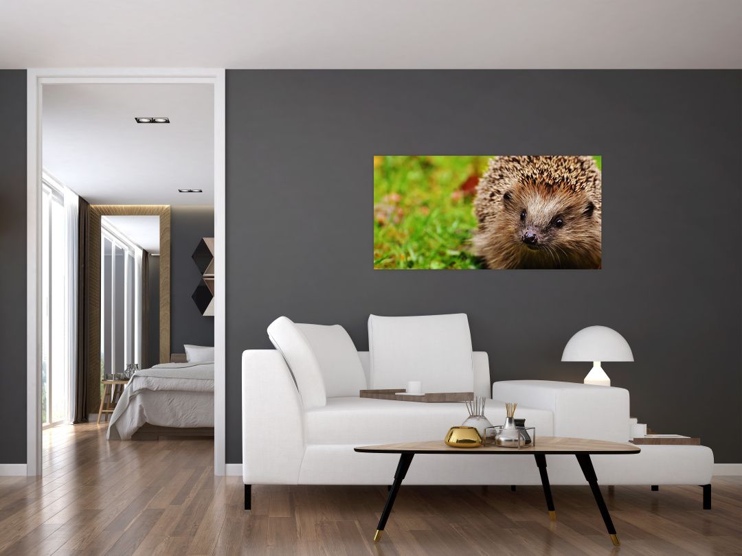 Skleněný obraz ježka (V020459V10050GD)