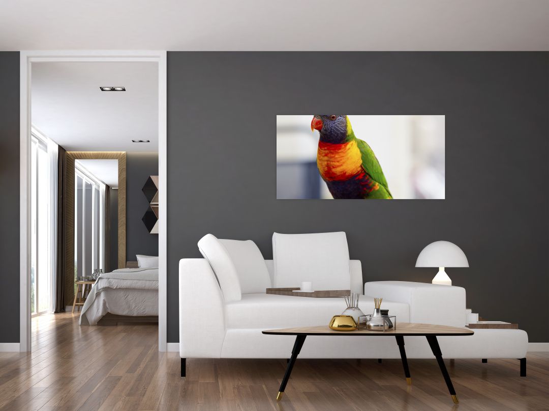 Skleněný obraz papouška (V020466V10050GD)