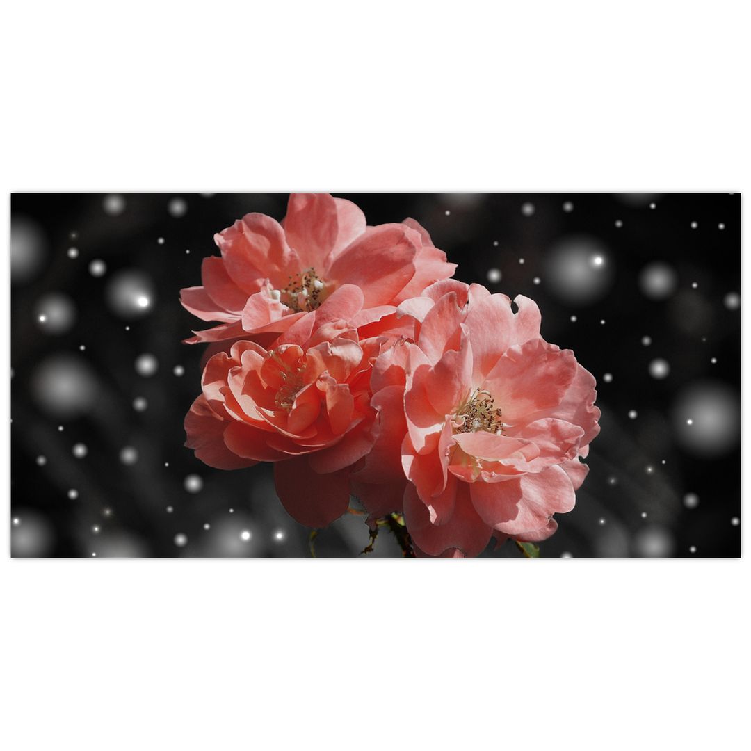 Skleněný obraz růžové květiny (V020471V10050GD)