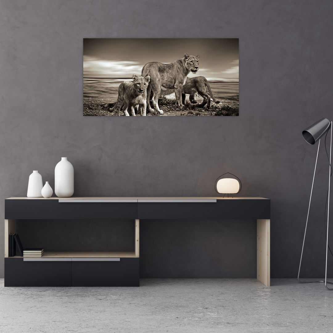 Skleněný obraz černobílých lvů (V020475V10050GD)