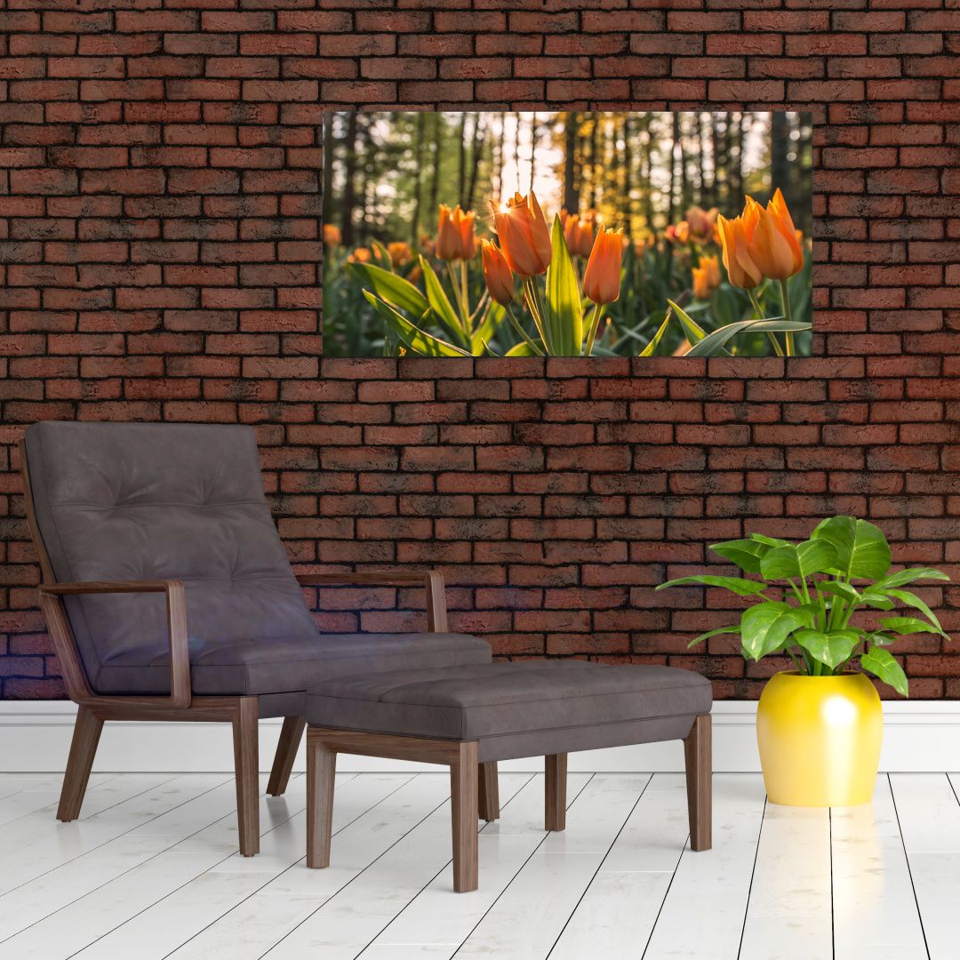 Skleněný obraz - oranžové tulipány (V020552V10050GD)