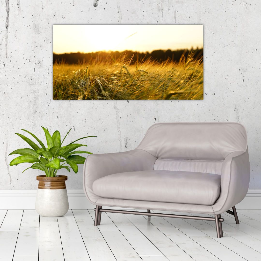 Skleněný obraz orosené trávy (V020584V10050GD)