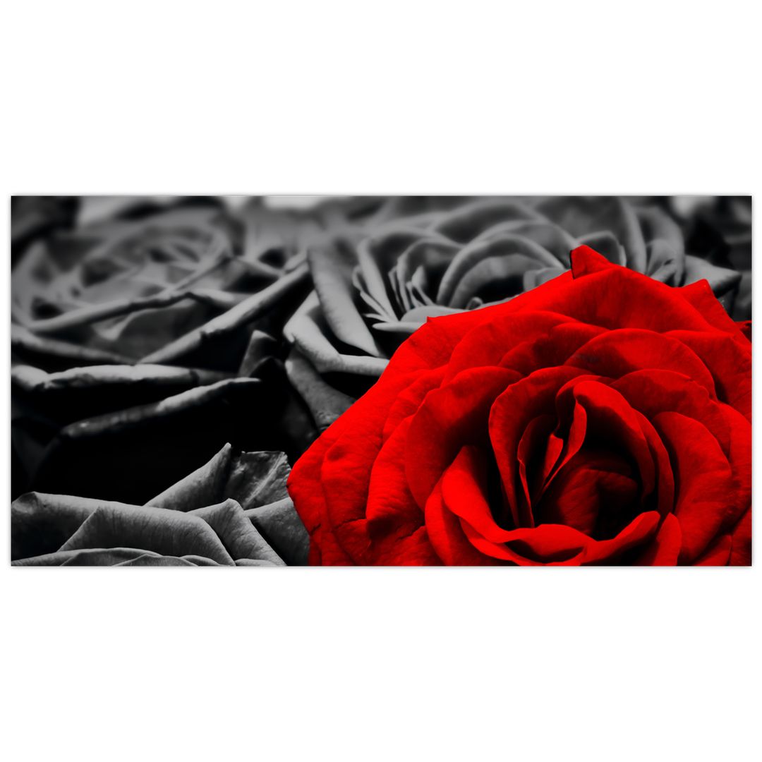 Tablou pe sticlă - Flori de trandafir (V021975V10050GD)