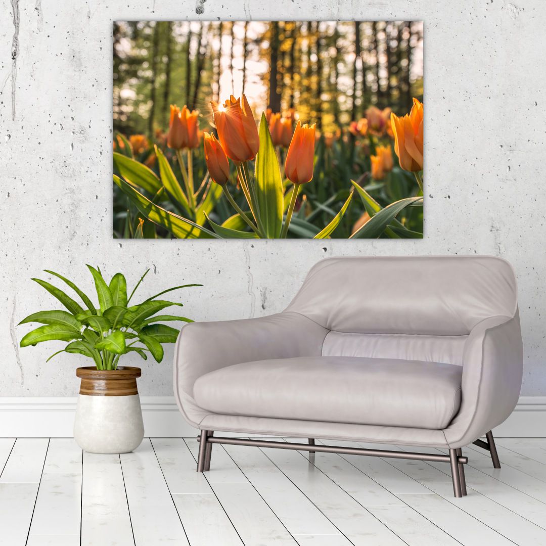 Obraz - oranžové tulipány (V020552V10070)