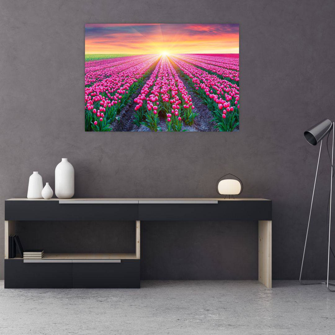 Obraz pole tulipánů se sluncem (V020554V10070)