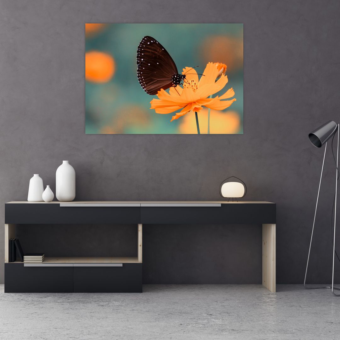 Obraz - motýl na oranžové květině (V020577V10070)