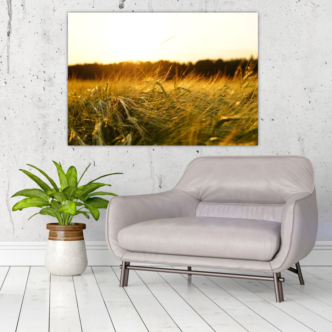 Obraz orosené trávy (V020584V10070)