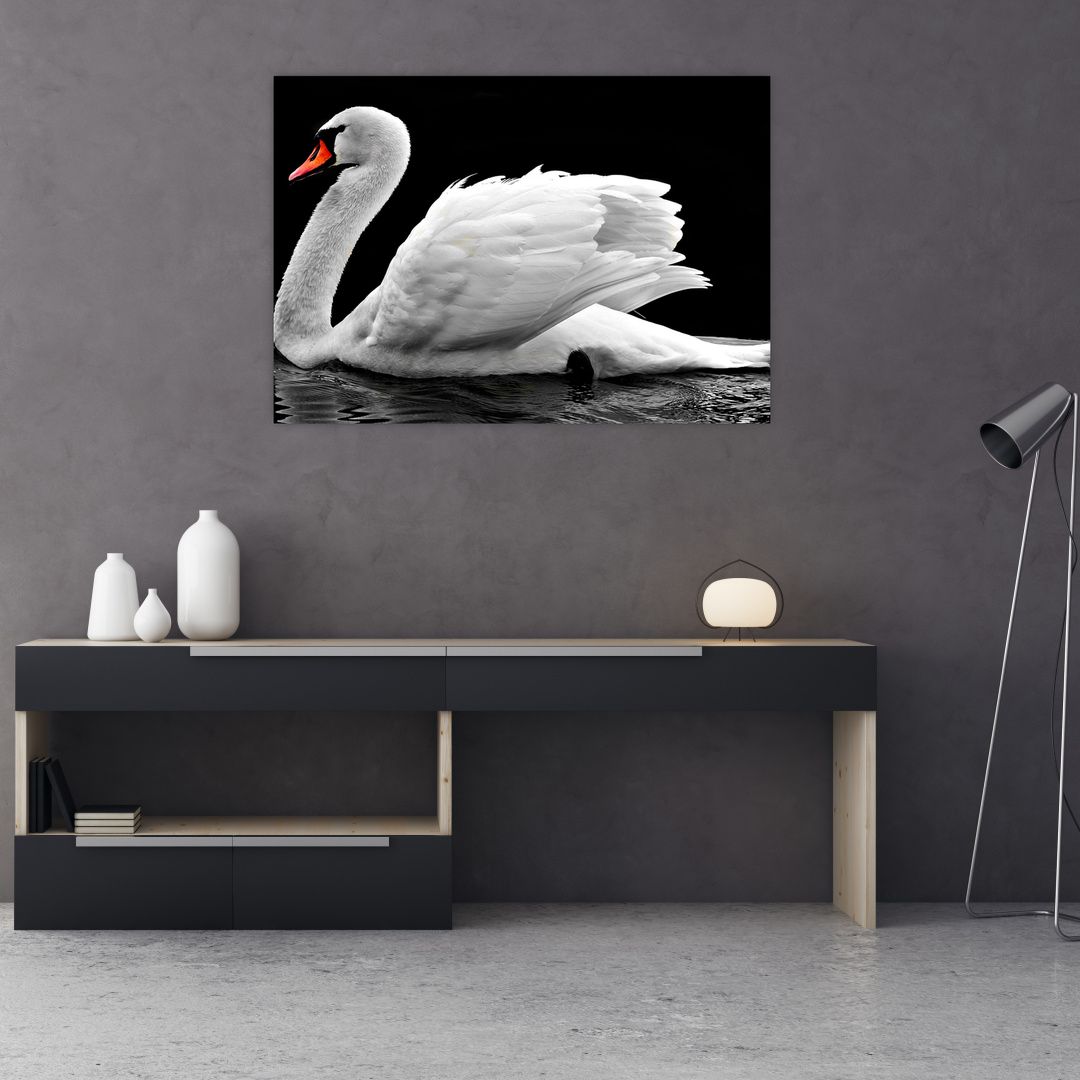 Obraz černobílé labutě (V020586V10070)