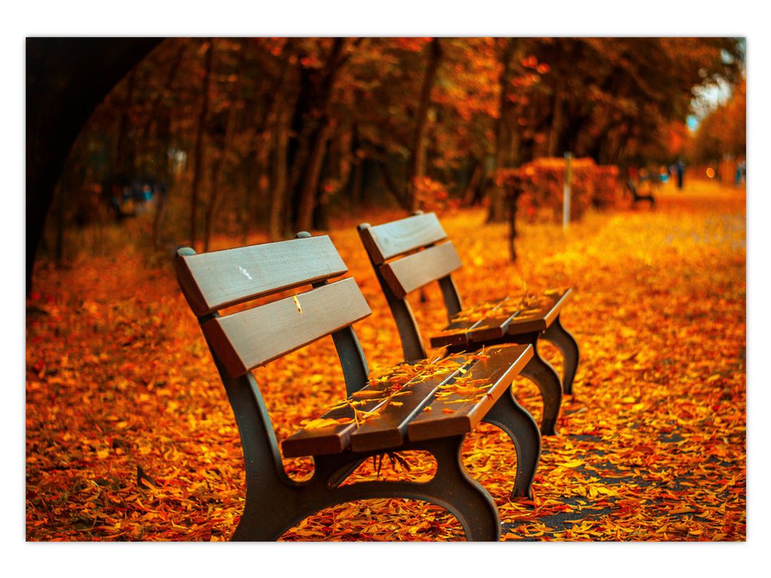 Obraz lavičky v podzimu (V020588V10070)