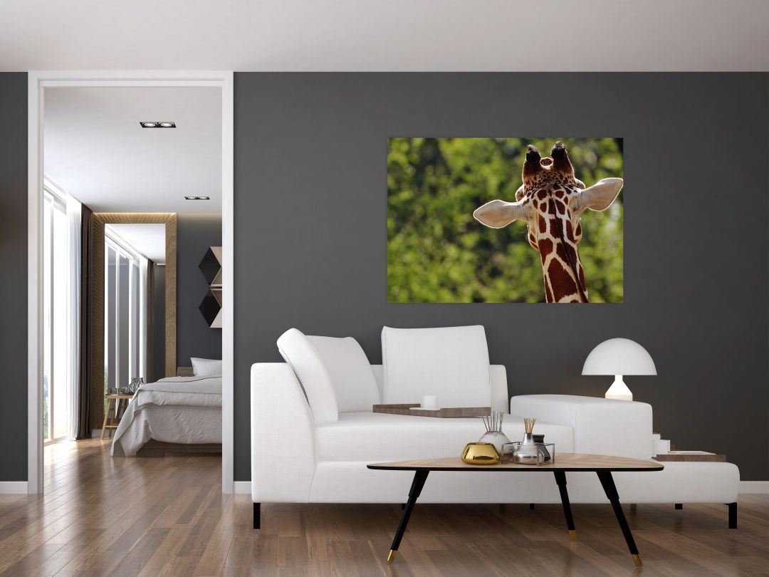 Obraz žirafy zezadu (V020638V10070)