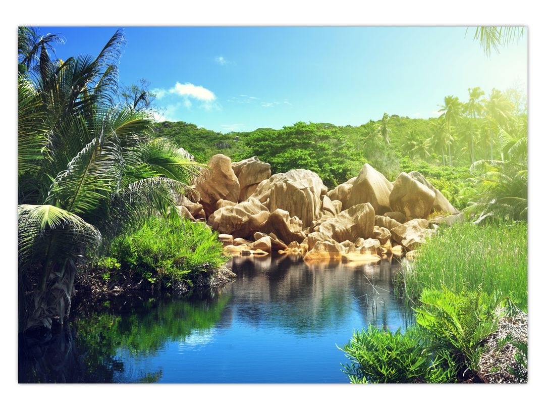 Obraz jezera v Seychelské džungli (V020651V10070)
