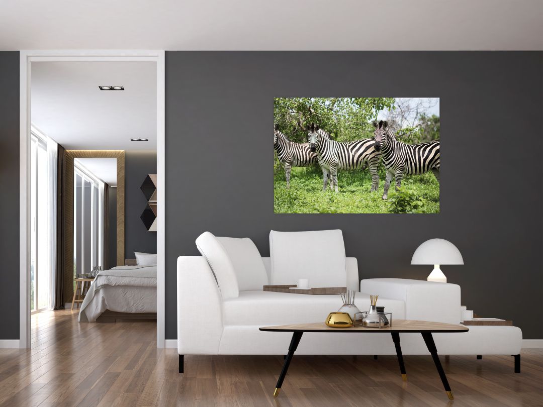 Obraz s zebrami (V020921V10070)