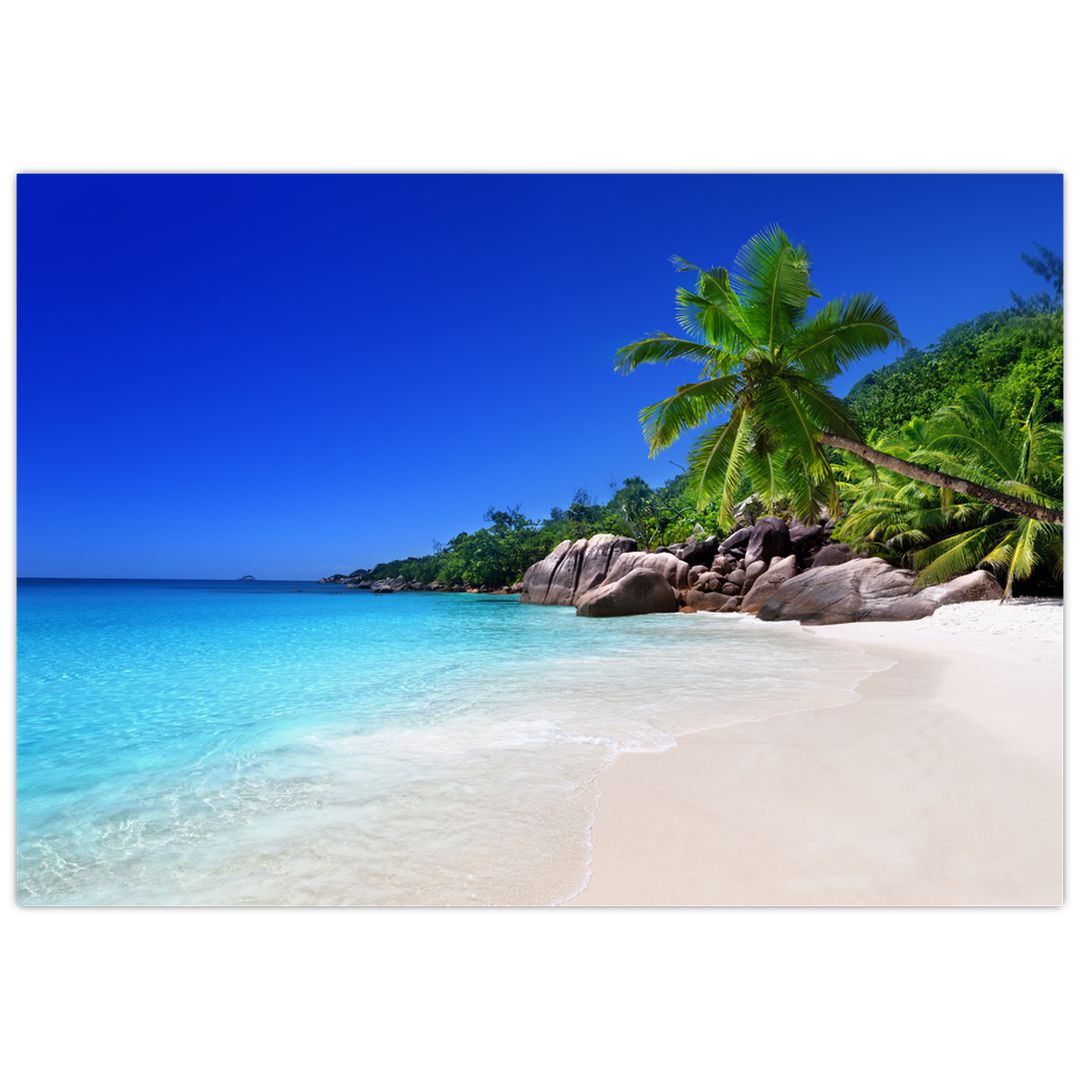 Obraz pláže na Praslin ostrově (V020936V10070)
