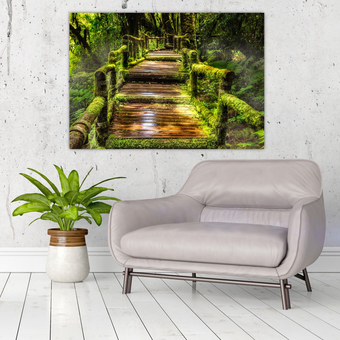 Obraz schodů v deštném pralese (V020941V10070)
